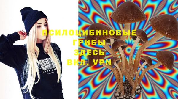 амфетамин Алексеевка