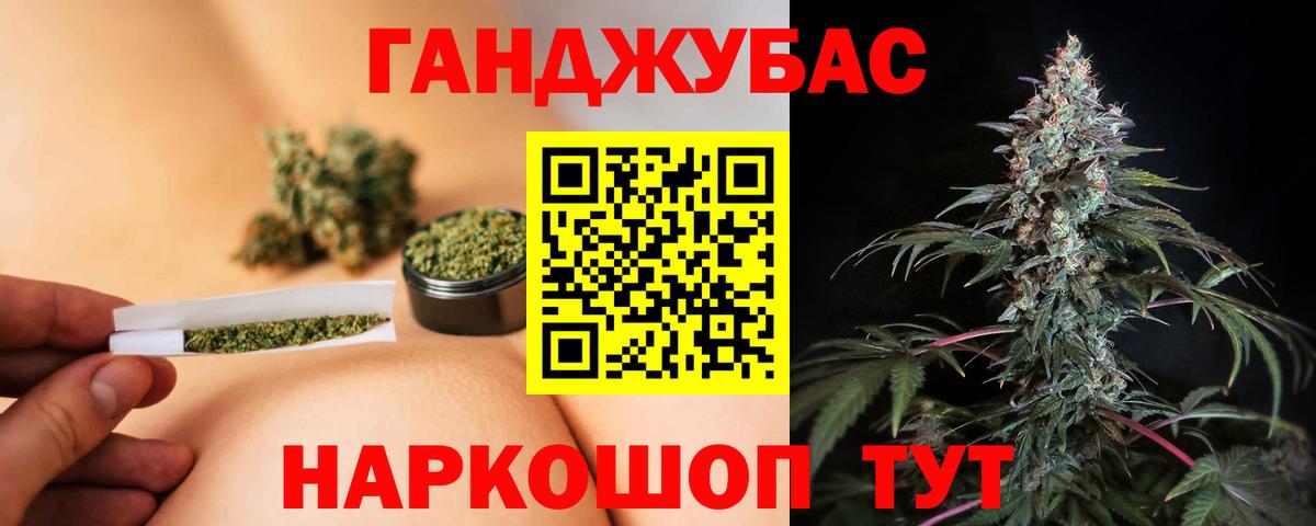 Канабис гибрид Дмитров